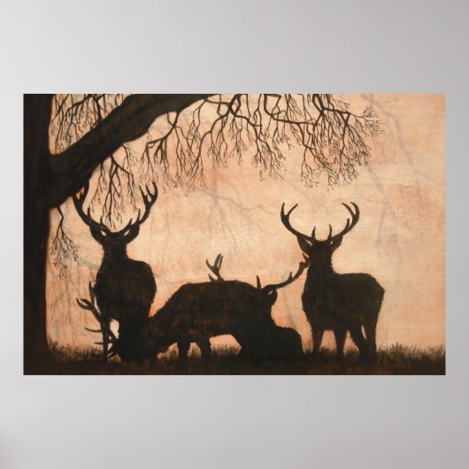Red Deer Stags Poster (Vorne)