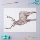 Red Deer Watercolor Seidenpapier (Basteln)