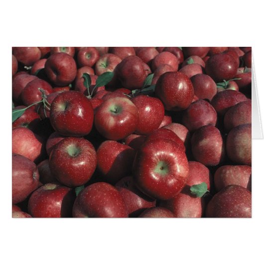 Red Delicious Apple Crop (Vorderseite (Horizontal))