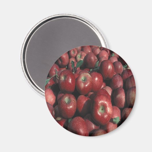 Red Delicious Apple Crop Magnet (Vorderseite/Rückseite)