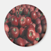 Red Delicious Apple Crop Magnet (Vorne)