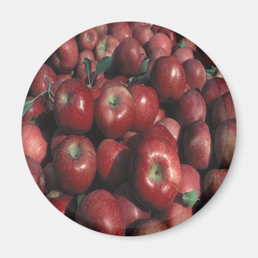 Red Delicious Apple Crop Magnet (Vorne)