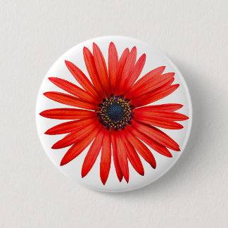 Red Devil Button