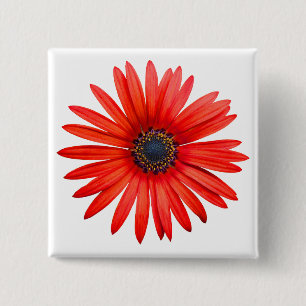 Red Devil Button