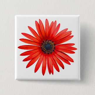 Red Devil Button