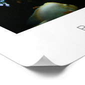 Red Devil Cichlids Poster (Ecke)