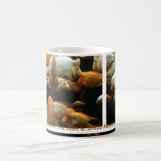 Red Devil Cichlids Tasse (Mittel)