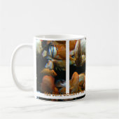 Red Devil Cichlids Tasse (Links)