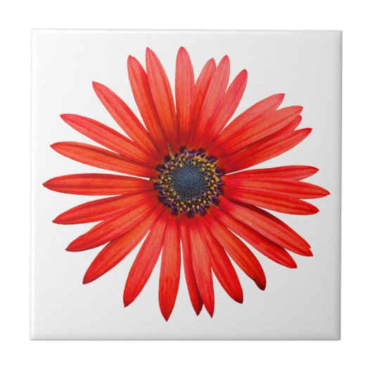 Red Devil Fliese (Vorderseite)