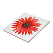 Red Devil Fliese (Seite)