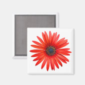 Red Devil Magnet (Vorderseite/Rückseite)