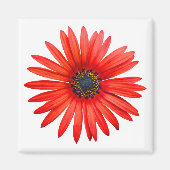 Red Devil Magnet (Vorne)