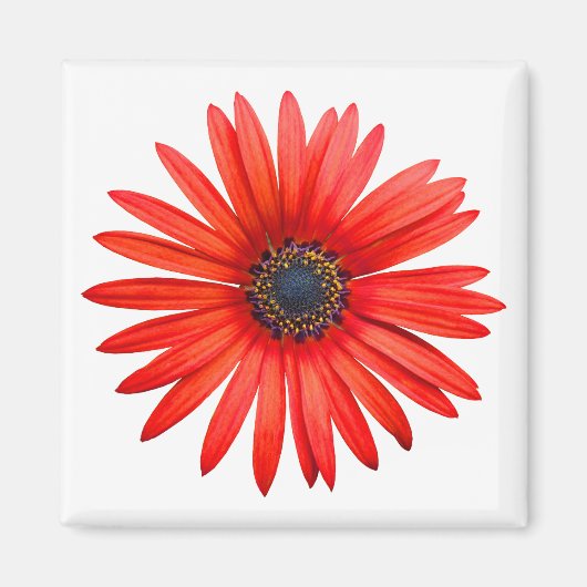 Red Devil Magnet (Vorne)