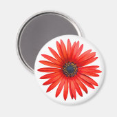 Red Devil Magnet (Vorderseite/Rückseite)