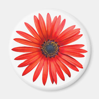 Red Devil Magnet