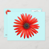 Red Devil Postkarte (Vorne/Hinten)