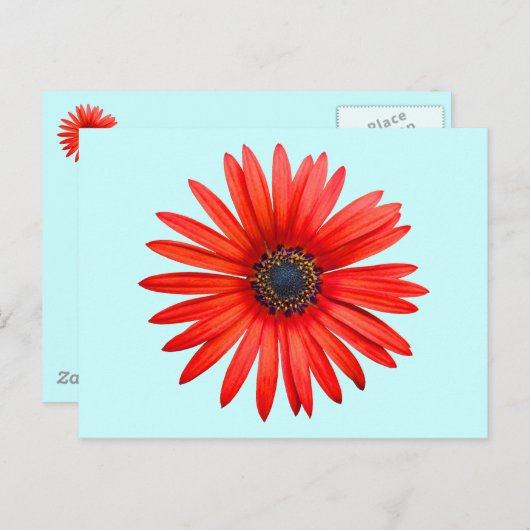 Red Devil Postkarte (Vorne/Hinten)