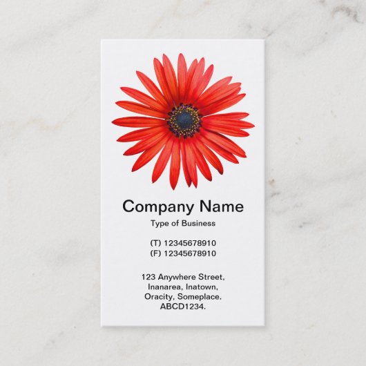 Red Devil Visitenkarte (Vorderseite)