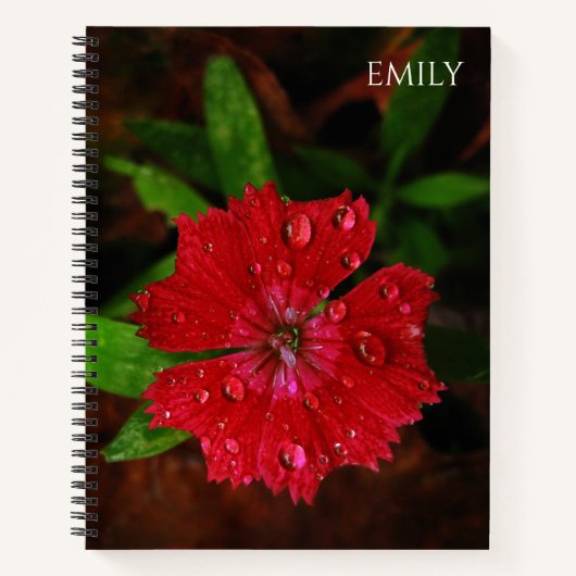 Red Dianthus Blume & Raindrops Foto, Individuelle Notizbuch (Vorderseite)