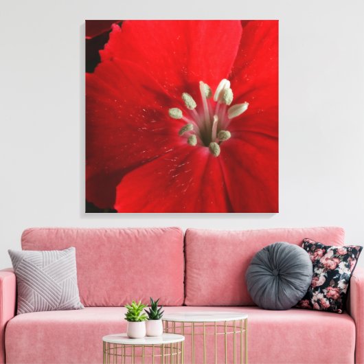 Red Dianthus Canvas Print Leinwanddruck (Insitu (Wohnzimmer))