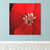 Red Dianthus Canvas Print Leinwanddruck (Insitu (Holzboden))