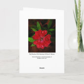 Red Dianthus with Raindrops Danke Karte (Rückseite)