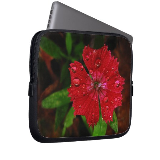 Red Dianthus with Raindrops Laptopschutzhülle (Vorne Rechts)