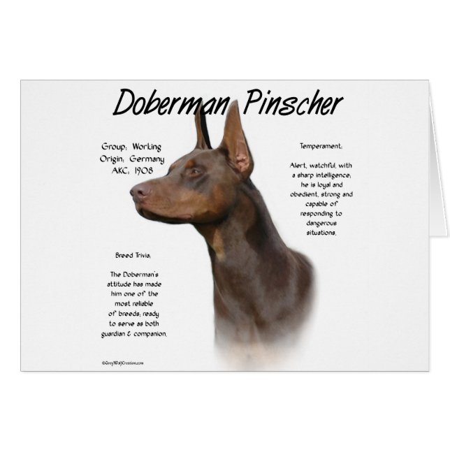 Red Doberman History (Vorderseite (Horizontal))