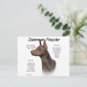 Red Doberman History Postkarte (Stehend Vorderseite)