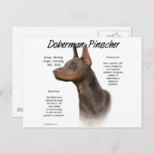 Red Doberman History Postkarte (Vorne/Hinten)
