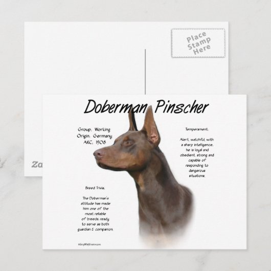 Red Doberman History Postkarte (Vorne/Hinten)