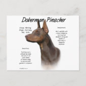Red Doberman History Postkarte (Vorderseite)