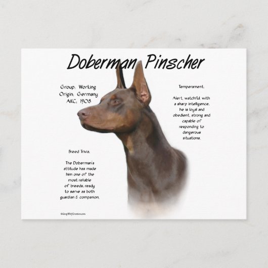 Red Doberman History Postkarte (Vorderseite)