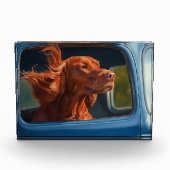 Red Dog Landschaftliche Autofahrt Kunstdrucken Fotoblock (Vorderseite)