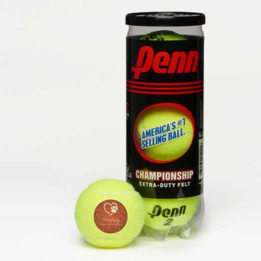 Red Dog Name Tennis Ball 'toss, fetch, repeat' (Box)