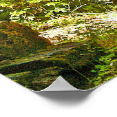 Red Dogwood Poster (Ecke)