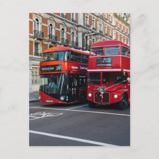 Red Double Decker Buses Postkarte