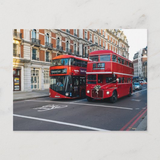 Red Double Decker Buses Postkarte (Vorderseite)