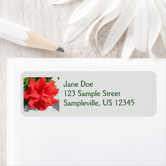 Red Double Hibisken Blume (Insitu)