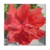 Red Double Hibisken Blume Fliese (Vorderseite)