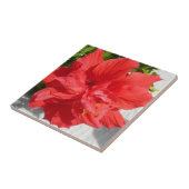 Red Double Hibisken Blume Fliese (Seite)