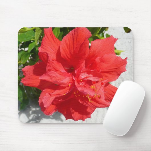 Red Double Hibisken Blume Mousepad (Mit Mouse)