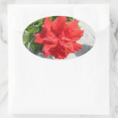 Red Double Hibisken Blume Ovaler Aufkleber (Tasche)