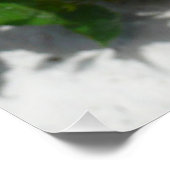 Red Double Hibisken Blume Poster (Ecke)