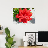 Red Double Hibisken Blume Poster (Heimbüro)