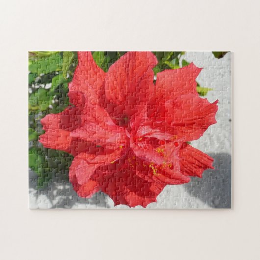 Red Double Hibisken Blume Puzzle (Horizontal)