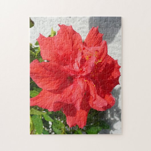 Red Double Hibisken Blume Puzzle (Vertikal)