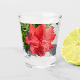 Red Double Hibisken Blume Schnapsglas