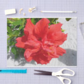 Red Double Hibisken Blume Seidenpapier (Handwerk)