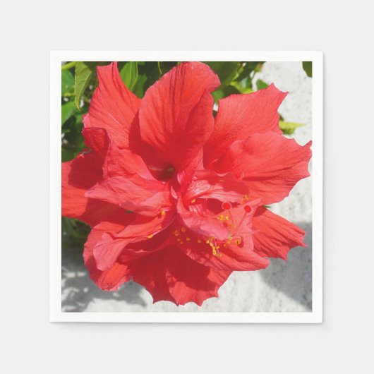 Red Double Hibisken Blume Serviette (Vorderseite)